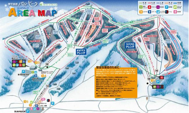 Pine Beak (Sugadaira Kogen) Pine Beak (Sugadaira Kogen)