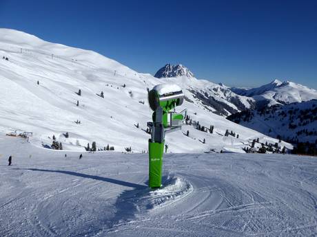 Schneesicherheit Zell am See – Schneesicherheit Wildkogel – Neukirchen/Bramberg