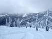 Skigebiete für Könner und Freeriding Kanada – Könner, Freerider Red Mountain Resort – Rossland