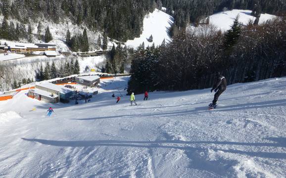 Skigebiete für Könner und Freeriding Breisgau-Hochschwarzwald – Könner, Freerider Feldberg – Seebuck/Grafenmatt/Fahl