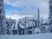 Weltweit: Testberichte von Skigebieten – Testbericht Whitewater – Nelson