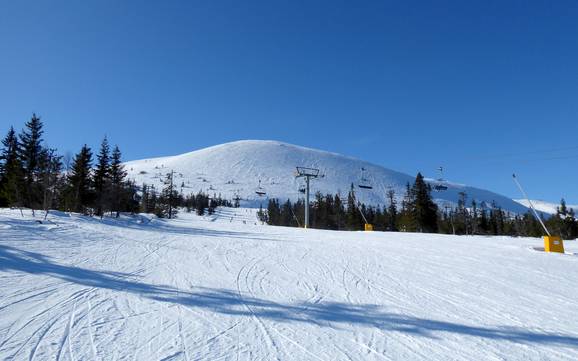 Hedmark: Größe der Skigebiete – Größe Trysil