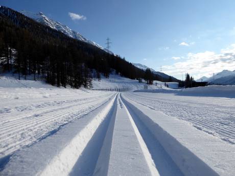 Langlauf Engadin – Langlauf Zuoz – Pizzet/Albanas